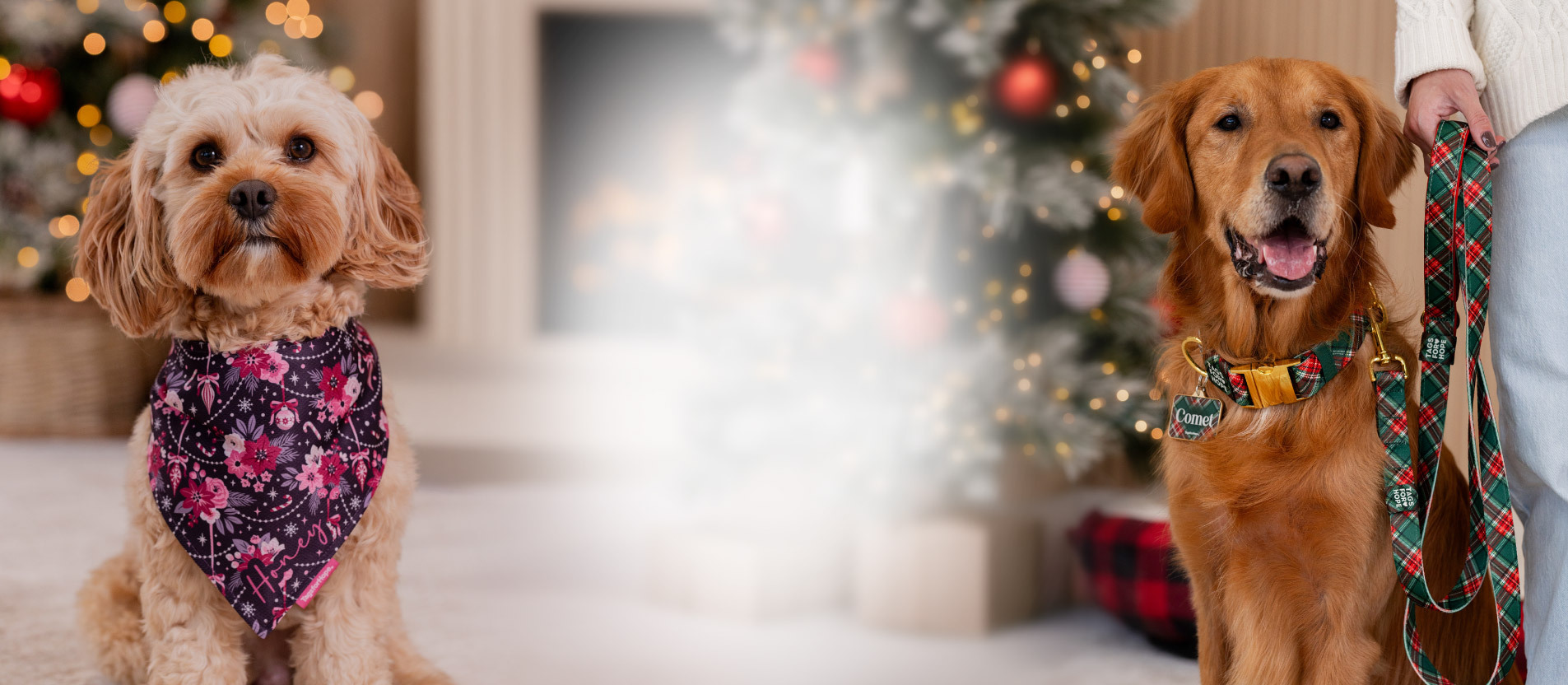 christmas collection banner