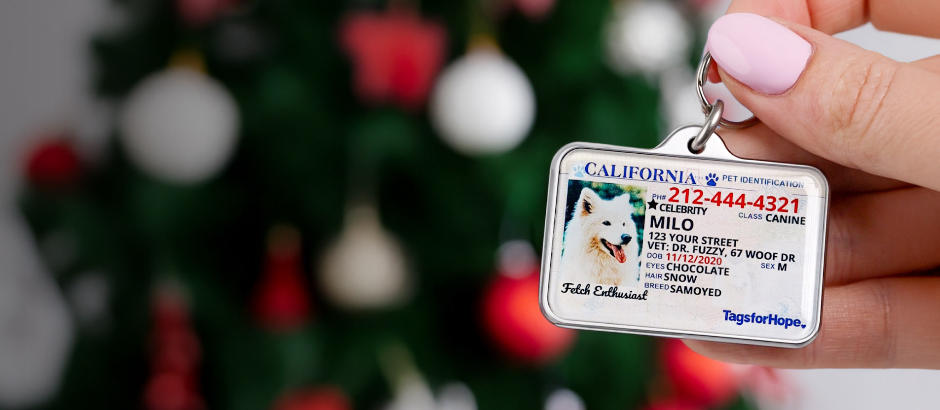 Pet ID tags banner