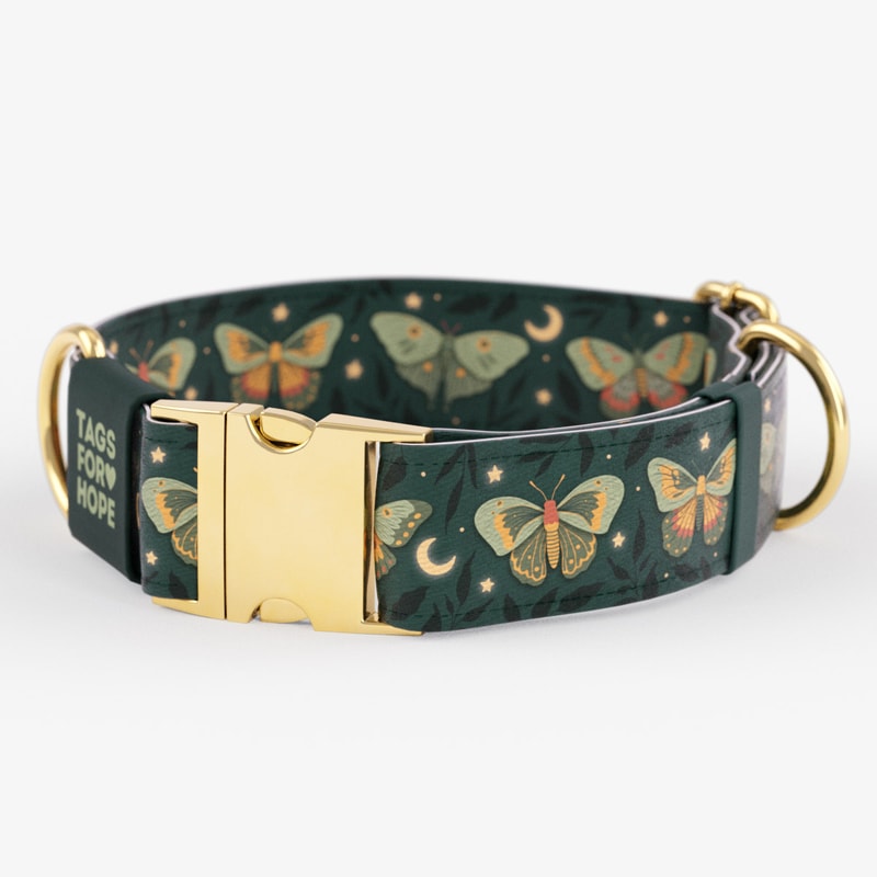 Midnight Moths