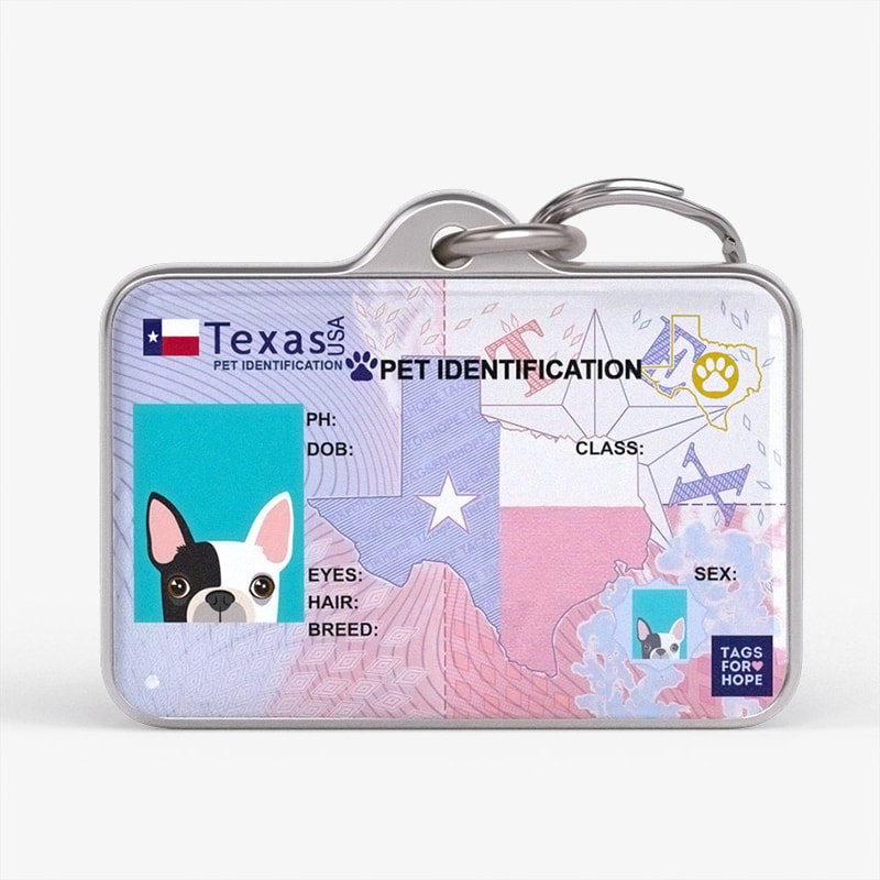 Texas 2020