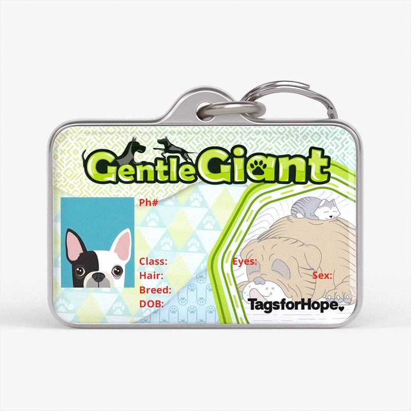 Gentle Giant