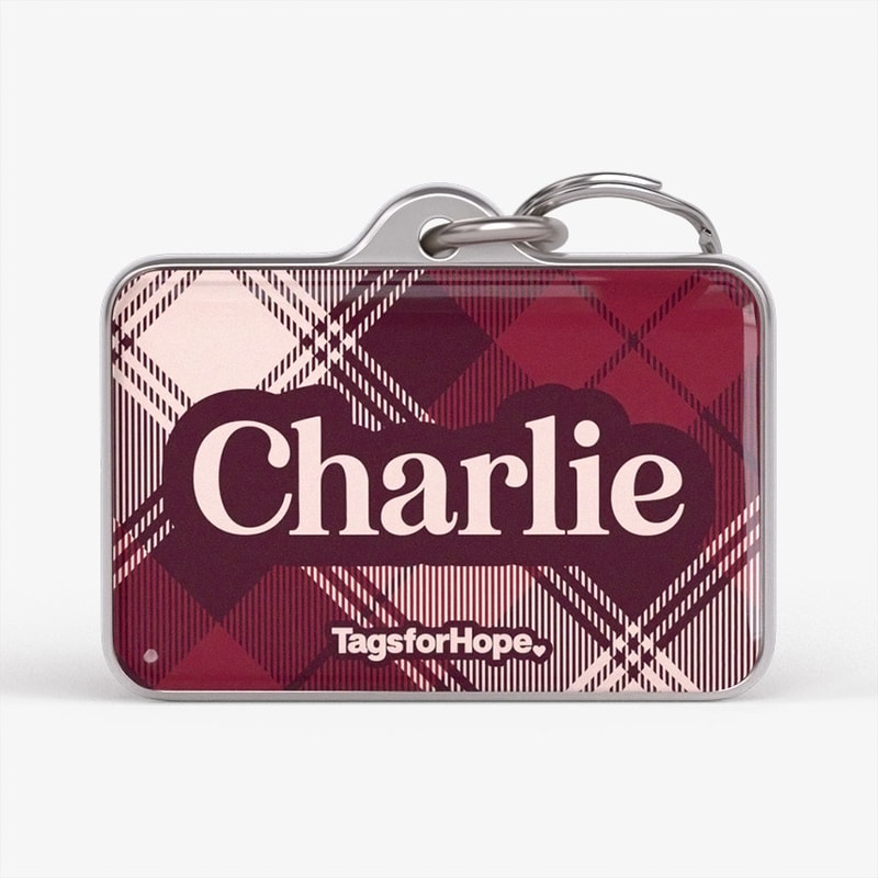 Bordeaux Plaid