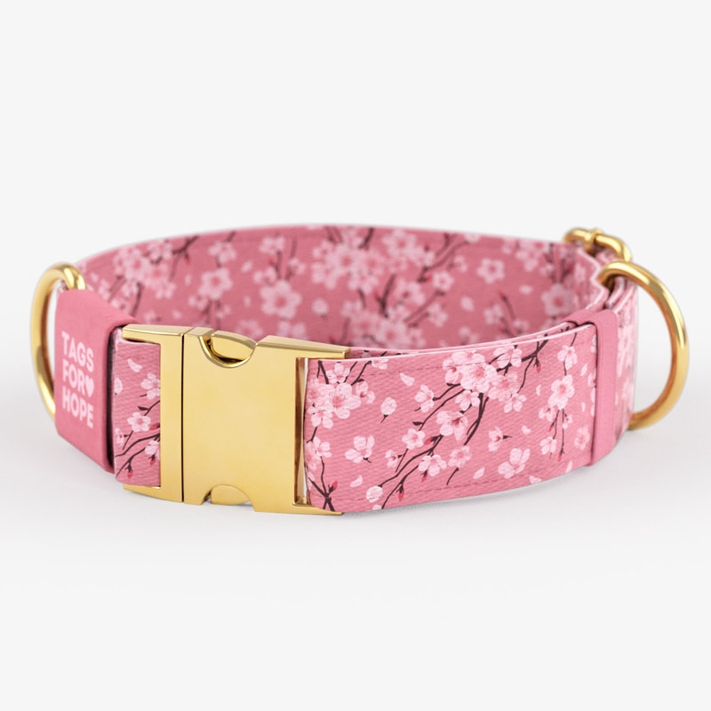 Cherry Blossoms Pink