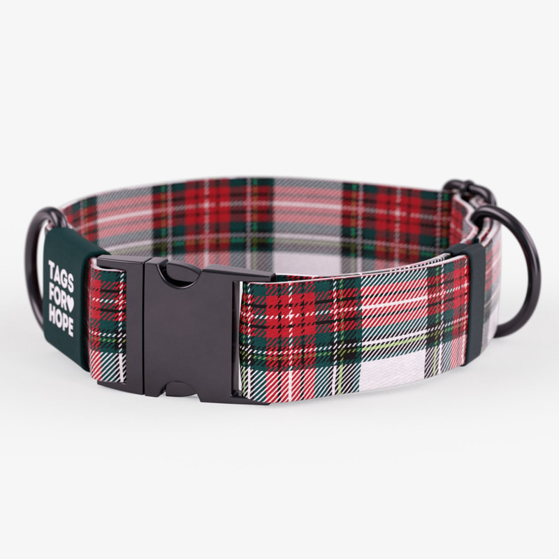 Christmas Morning Plaid