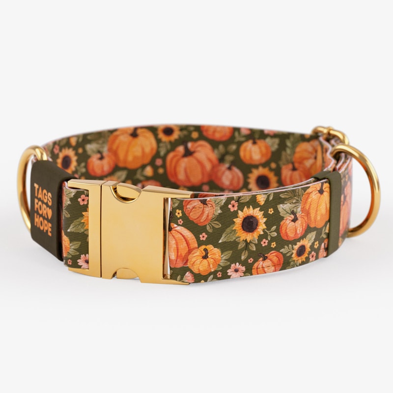 Pumpkin Patch Sage