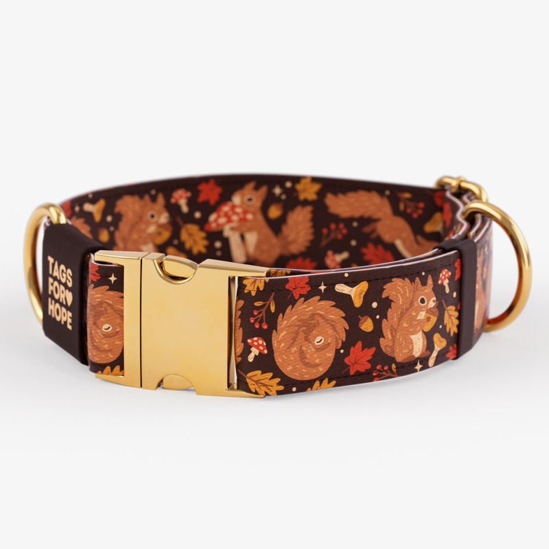 Nutty For Fall