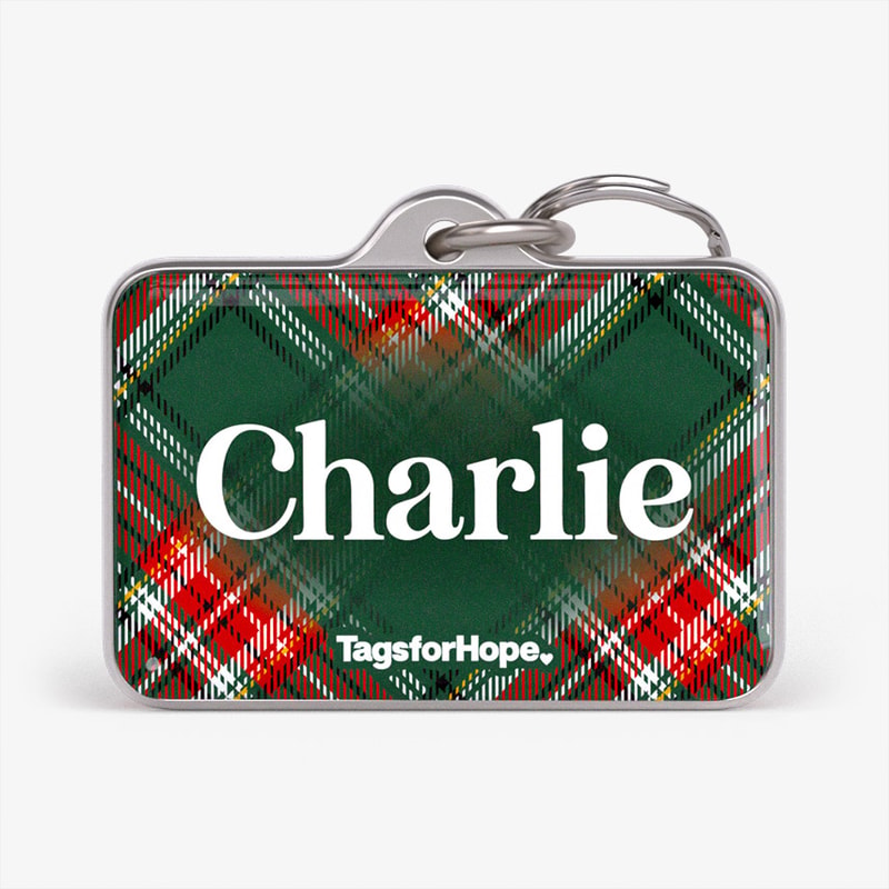 Mistletoe Plaid