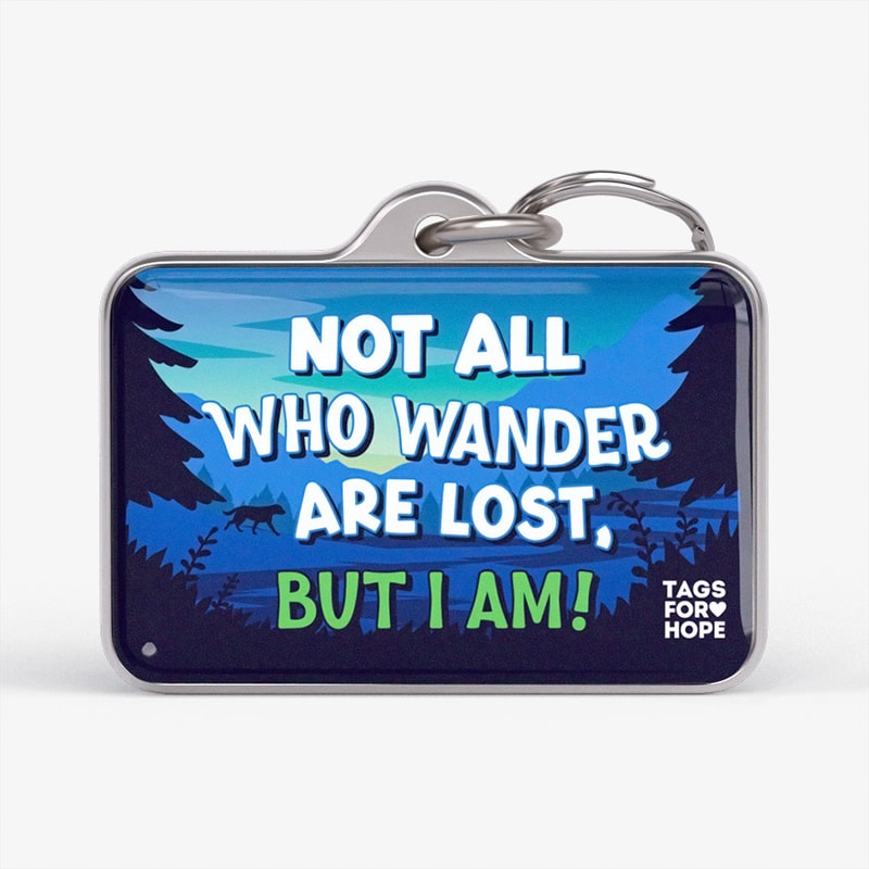 Not All Who Wander Are Lost But I Am Blue