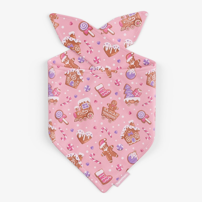 Gingerbread Candyland