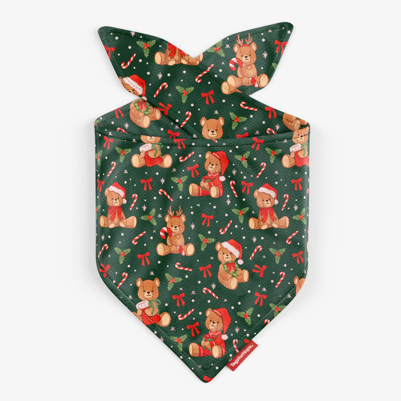 Christmas Teddy