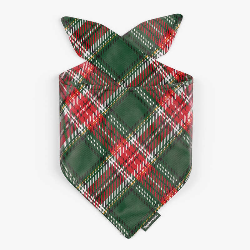 Mistletoe Plaid