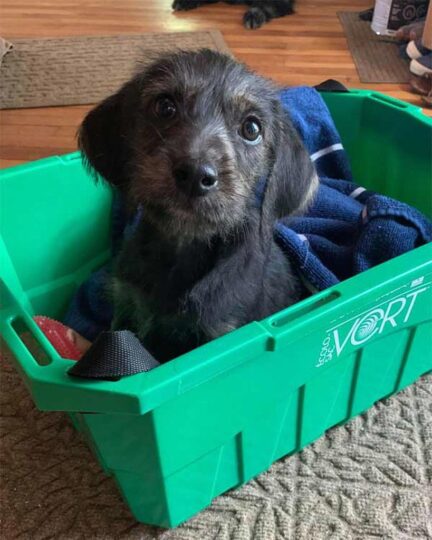Tucker
