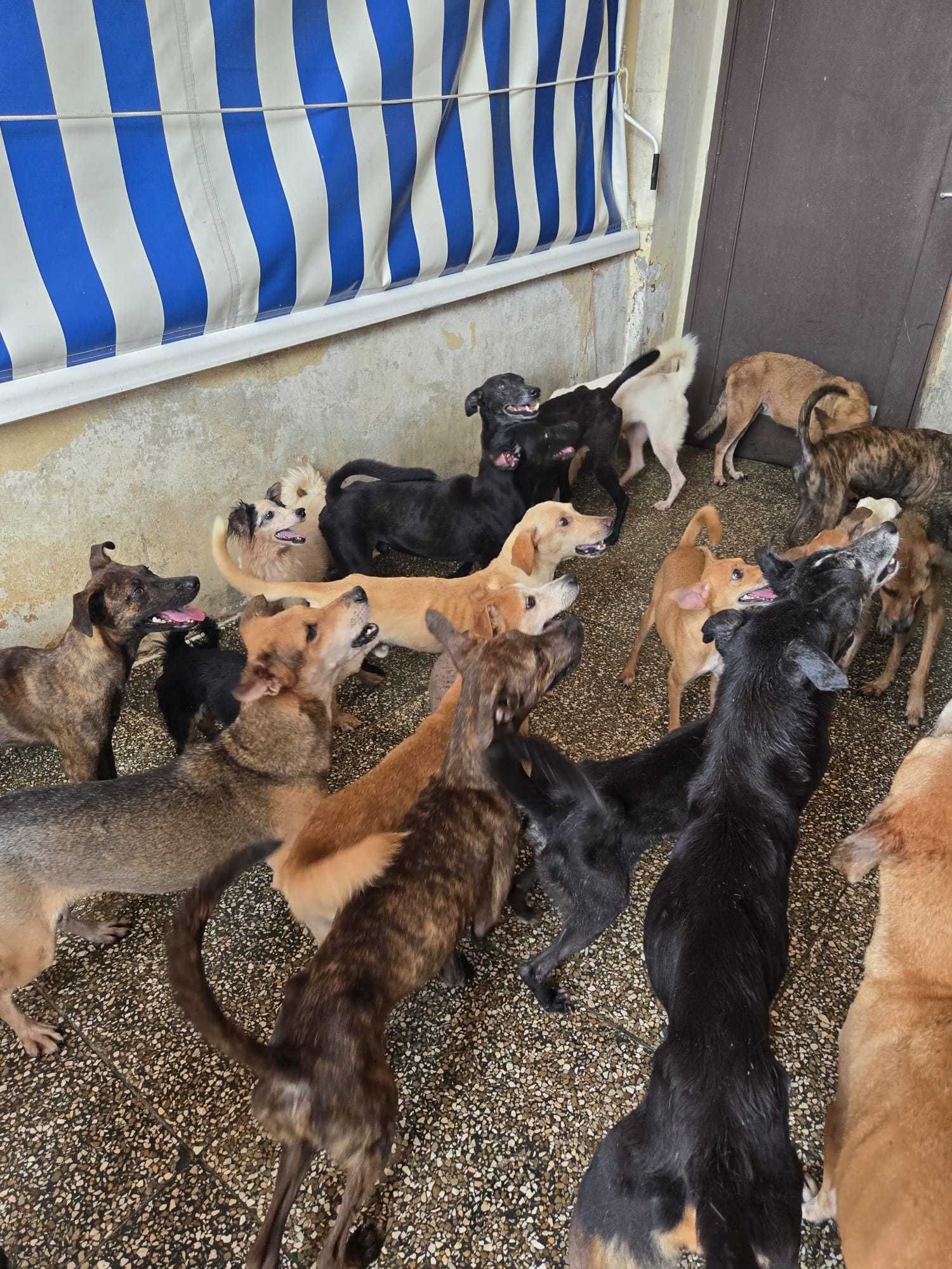 Part 2: Cuba Rescue Mission