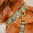 Collars
