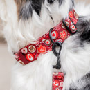 Collars