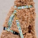 Harnesses