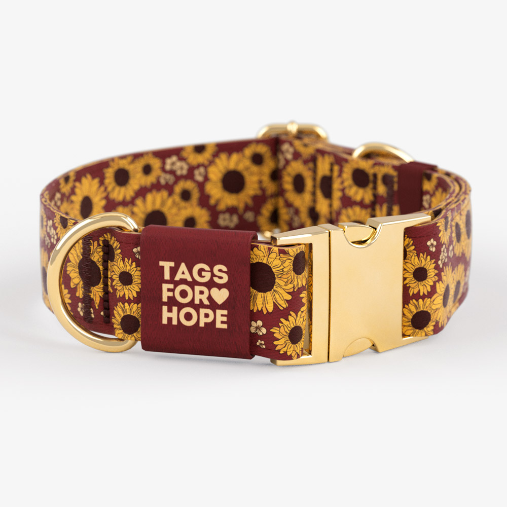 Crimson Sunflower Dog Leash