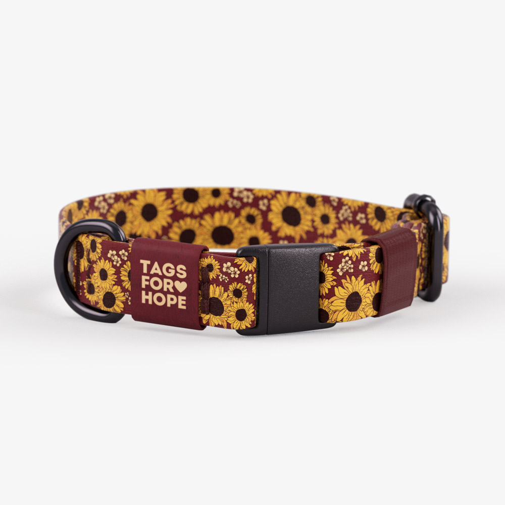 Sunflower dog tag sales