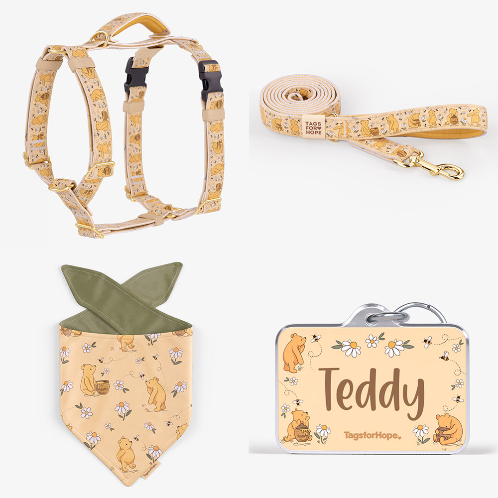 bandana motion bundle new