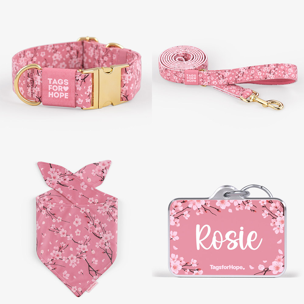 bandana essentials bundle new