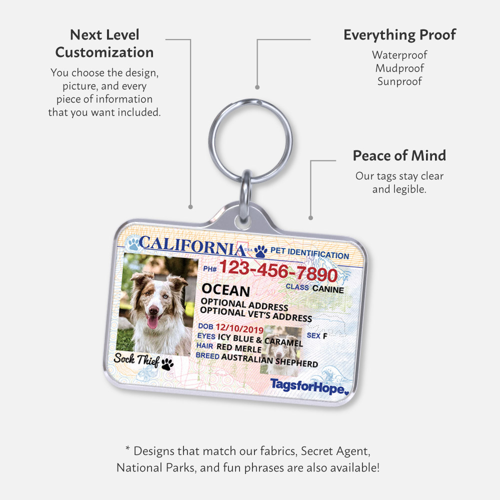 Pet ID Tag