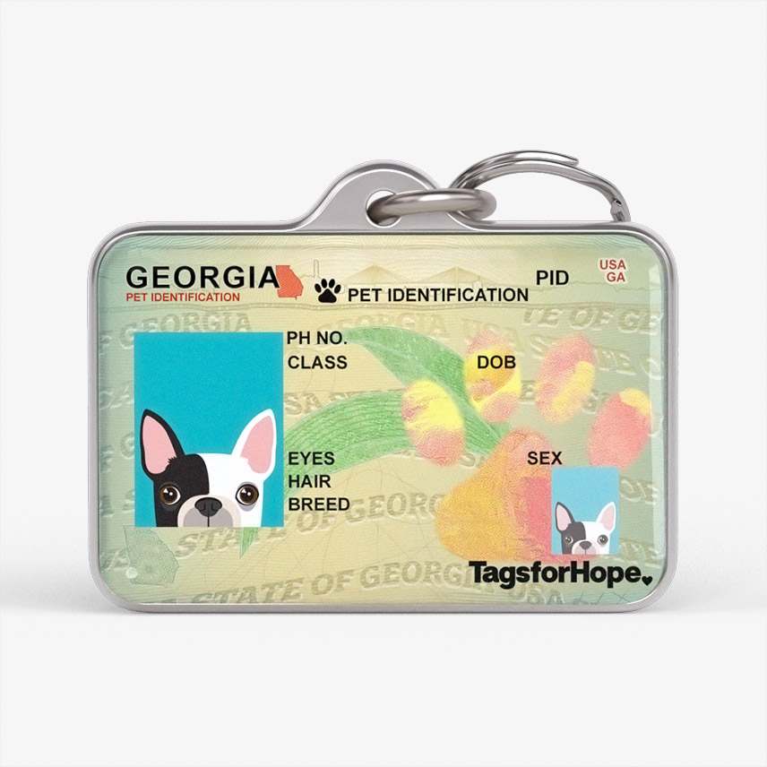Georgia 2019