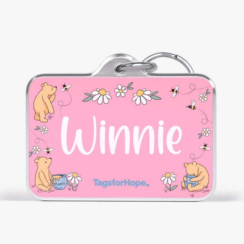 Hunny Bear Trending