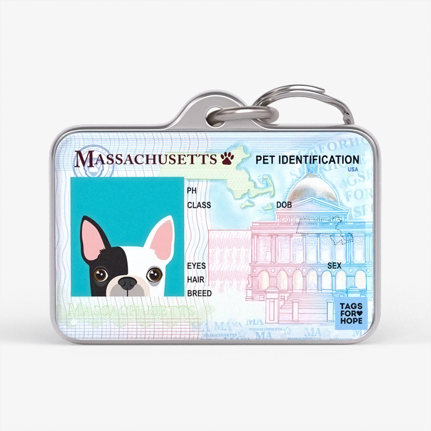 Massachusetts 2020