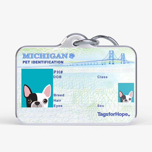 Michigan Trending