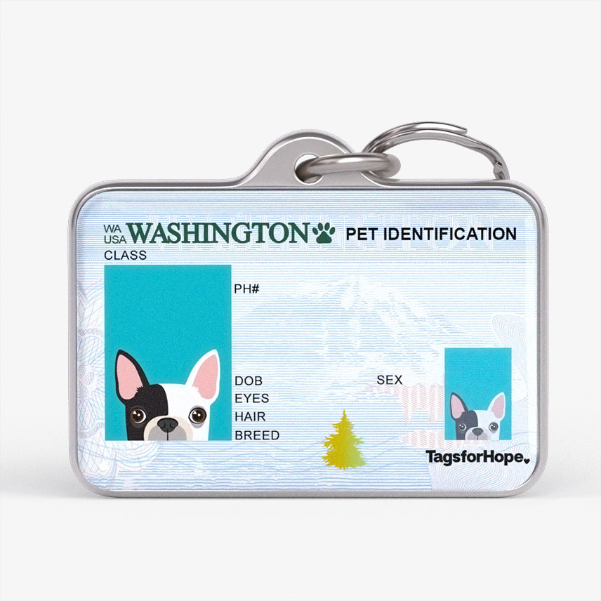 Washington 2017