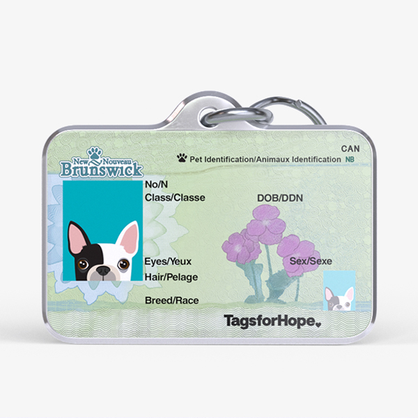 Michigan Grand Rapids Hearts Of Hope Dog Rescue Washington Driver