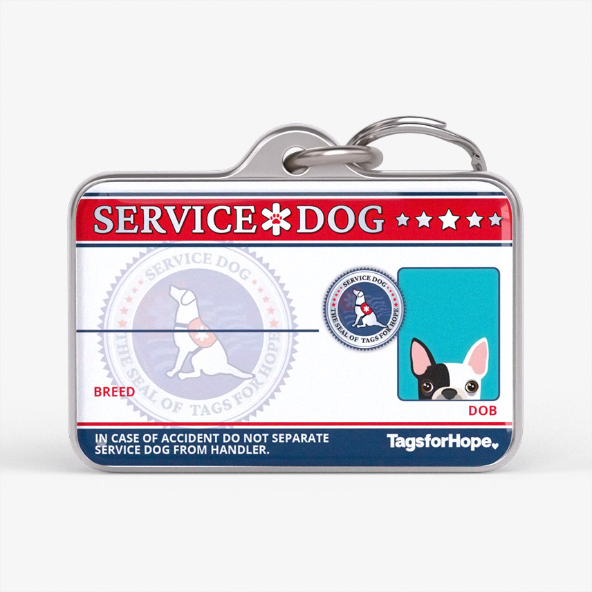 Service Dog 2024