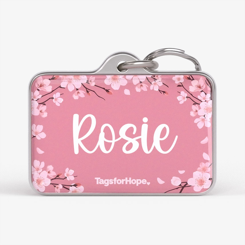 Cherry Blossoms Pink