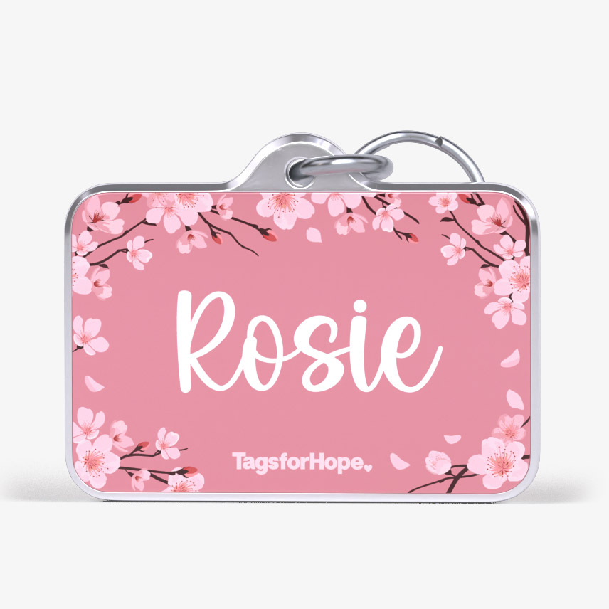 Cherry Blossoms Trending