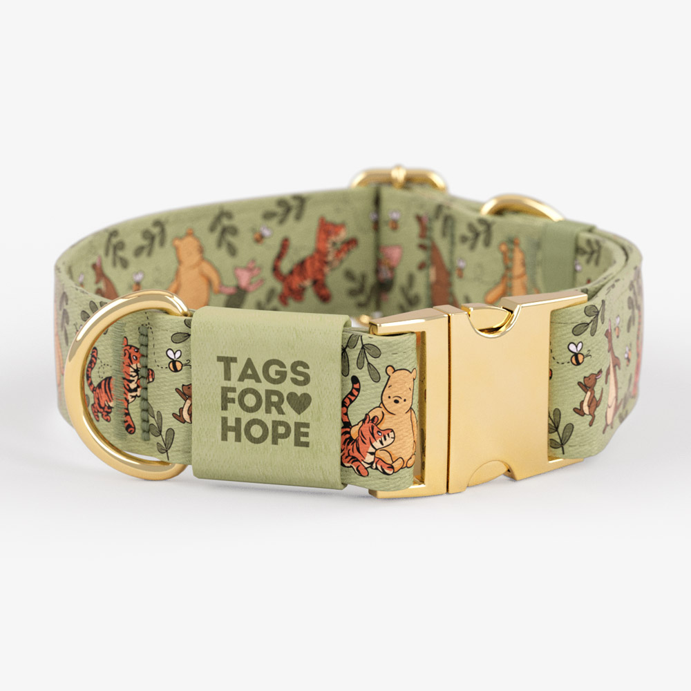 Hundred Acre Friends Trending