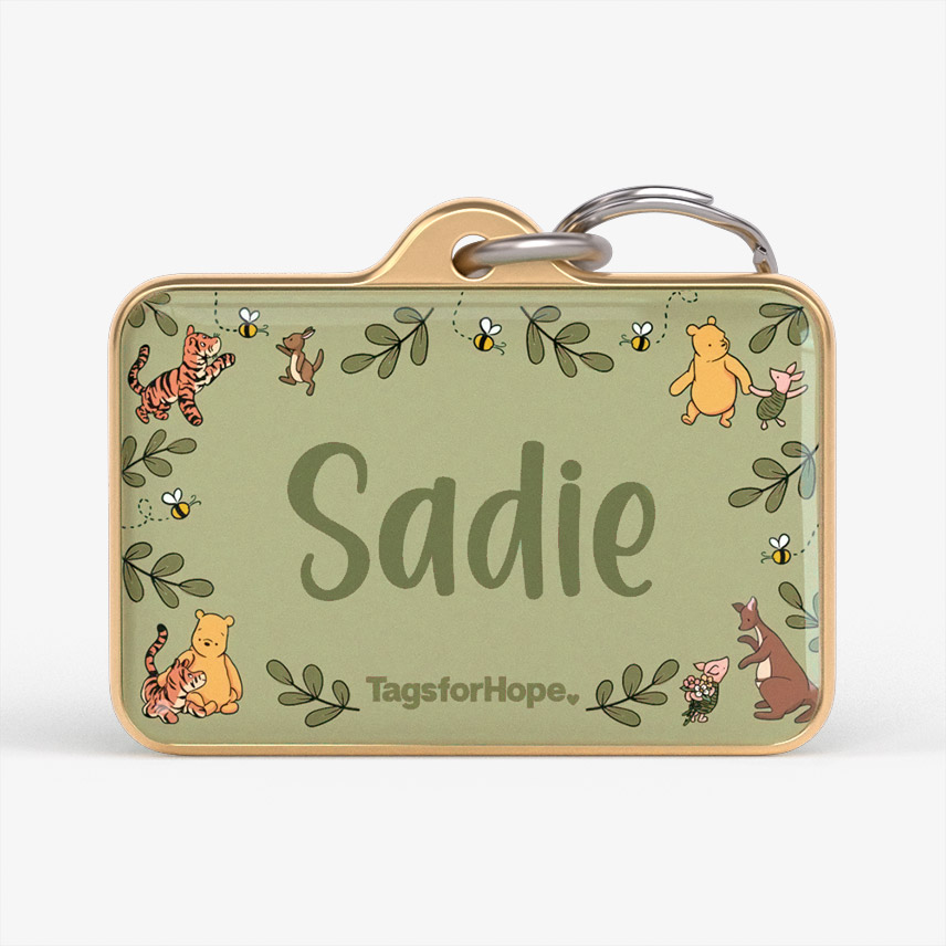 Hundred Acre Friends