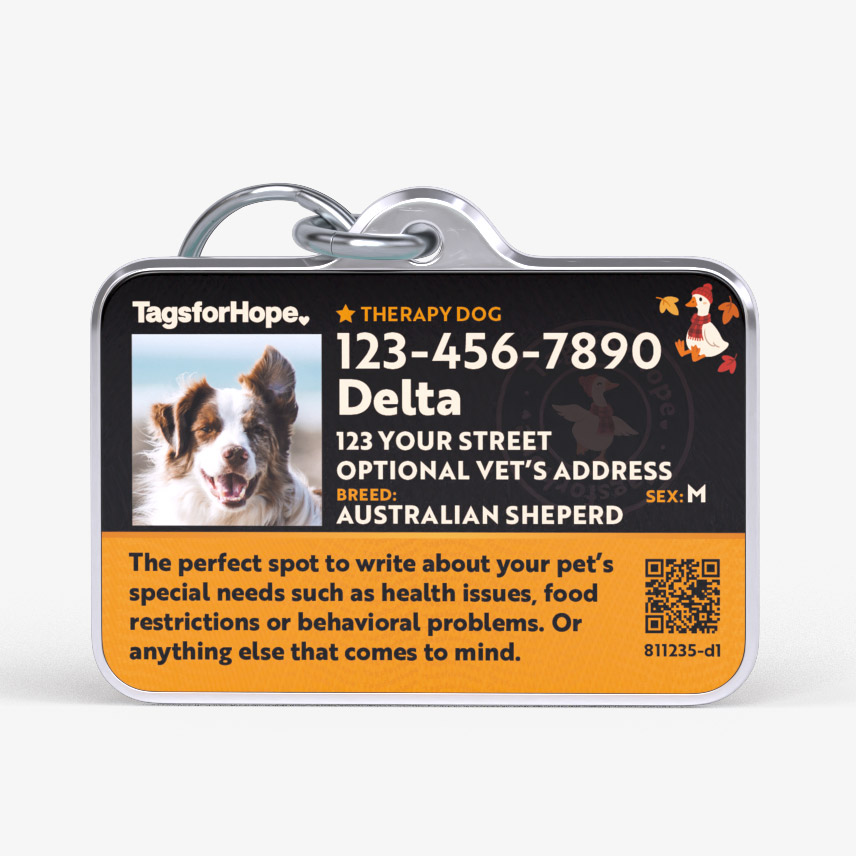 What to Write on Dog Id Tag: Essential Info & Tips