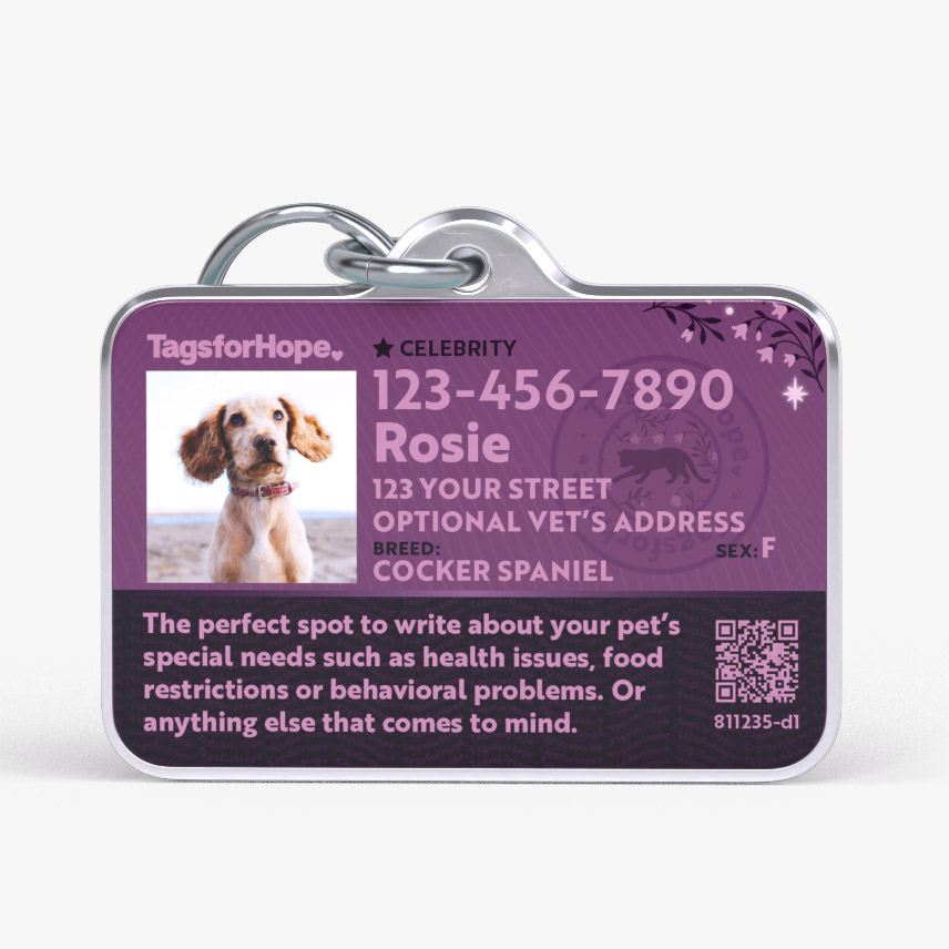 What to Write on Dog Id Tag: Essential Info & Tips