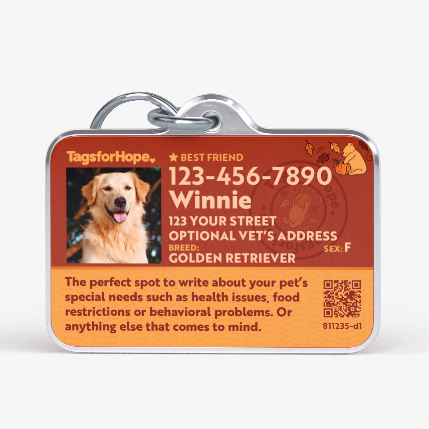 What to Write on Dog Id Tag: Essential Info & Tips