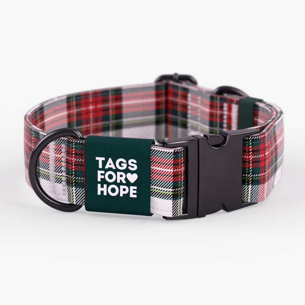 Christmas Morning Plaid Trending