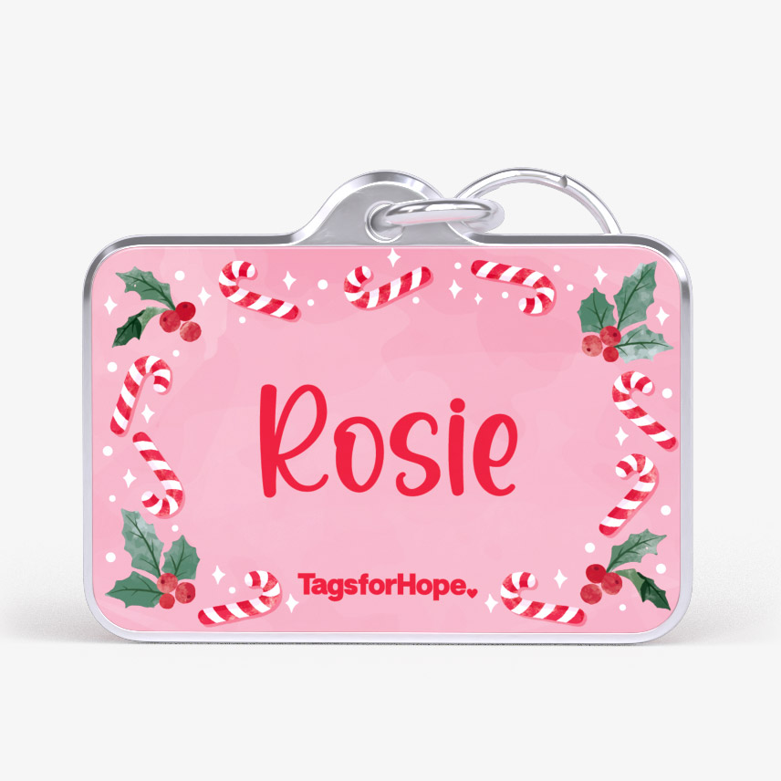 Candy Cane Lane Trending