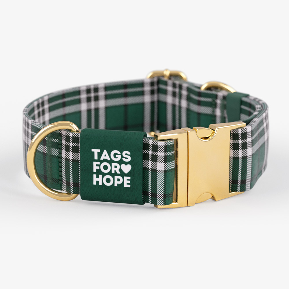 Green Plaid Trending