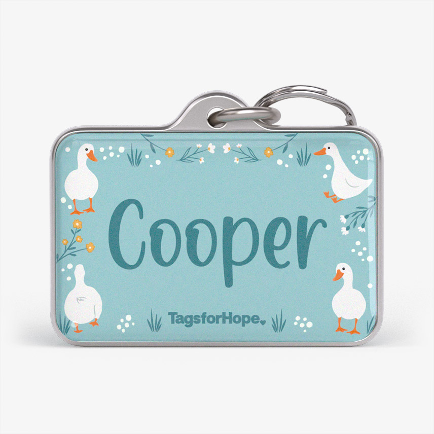 Silly Goose Teal