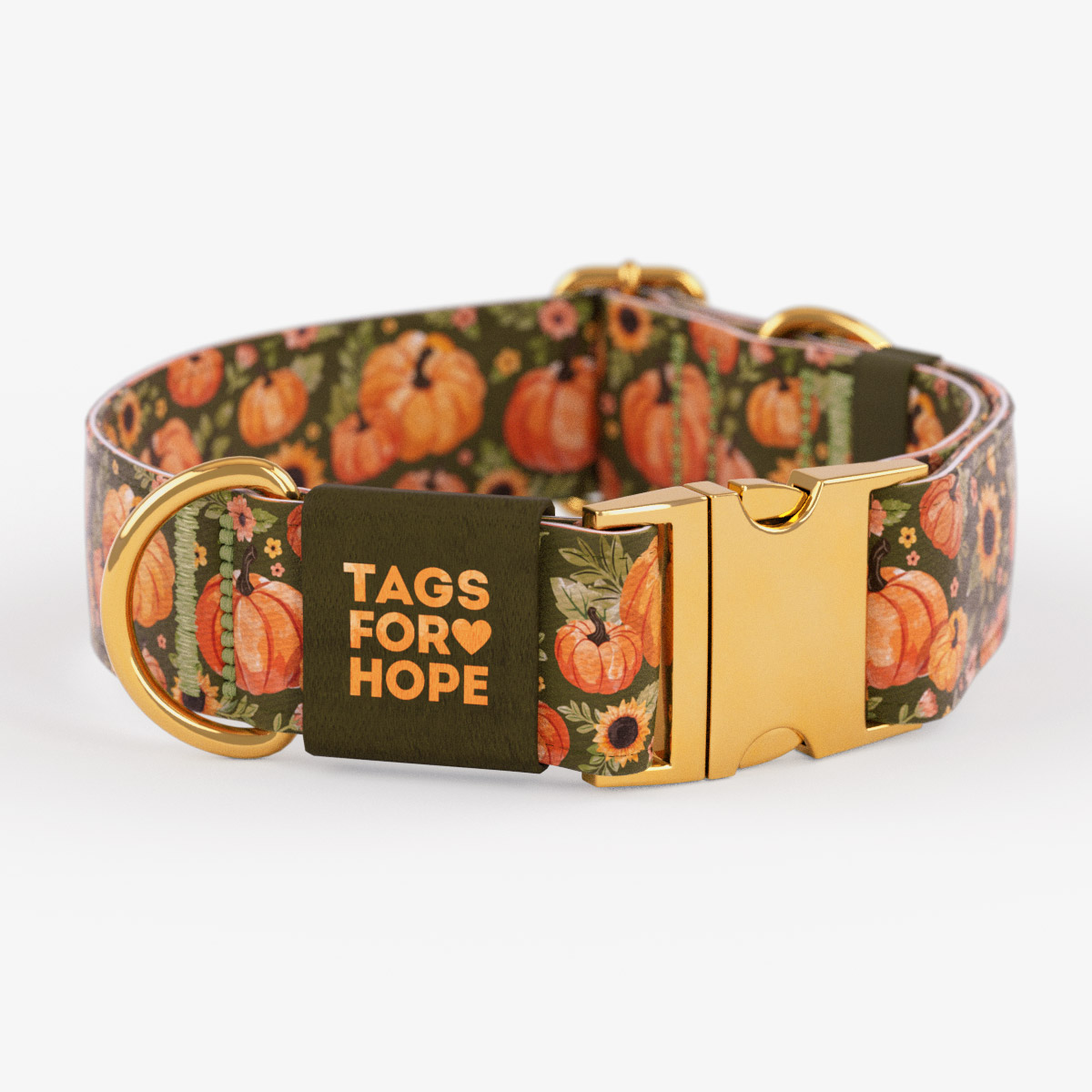 Pumpkin Patch Sage