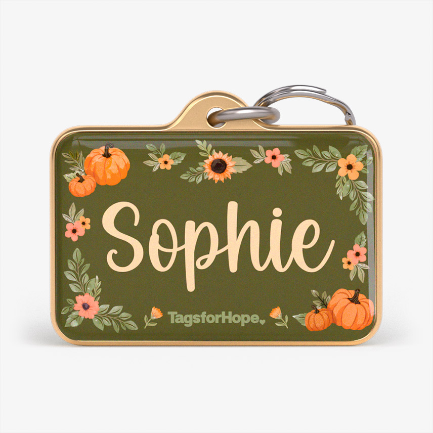 Pumpkin Patch Sage