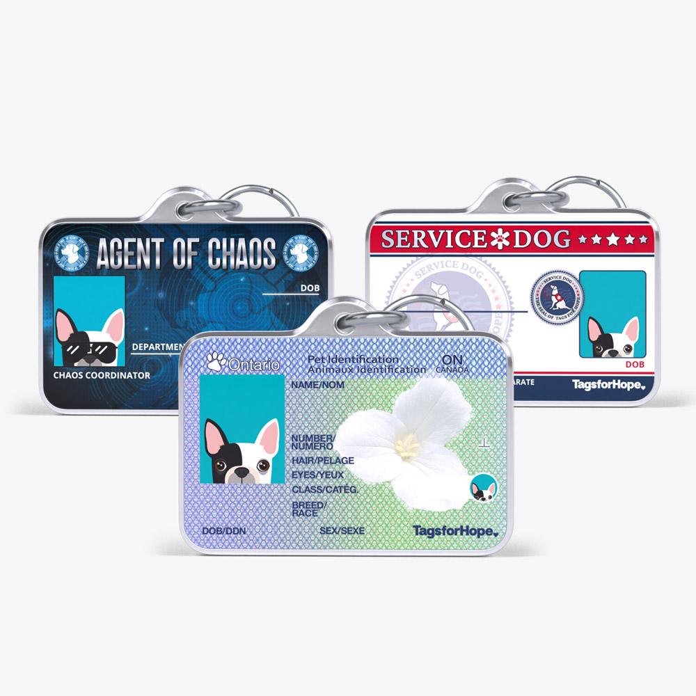 triple tag bundle v2