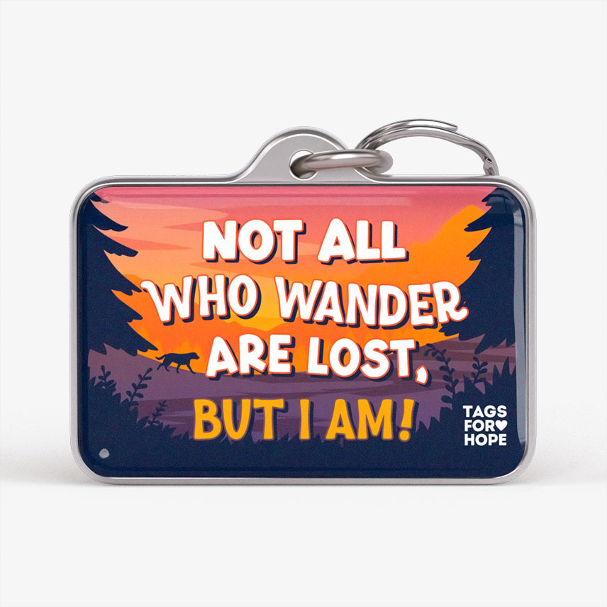 Not All Who Wander Are Lost But I Am Yellow