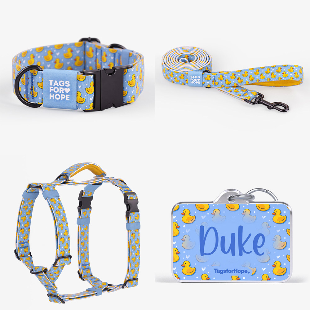 motion ultimate bundle new