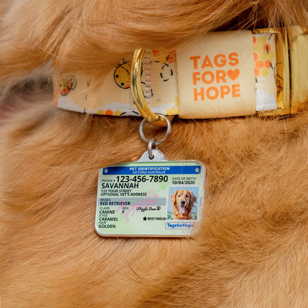 Dog license tag victoria sale