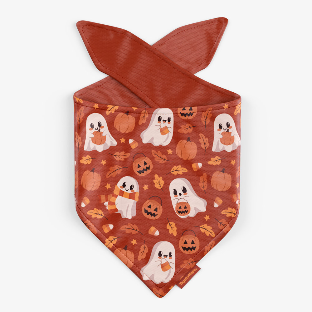 Autumn Ghosties